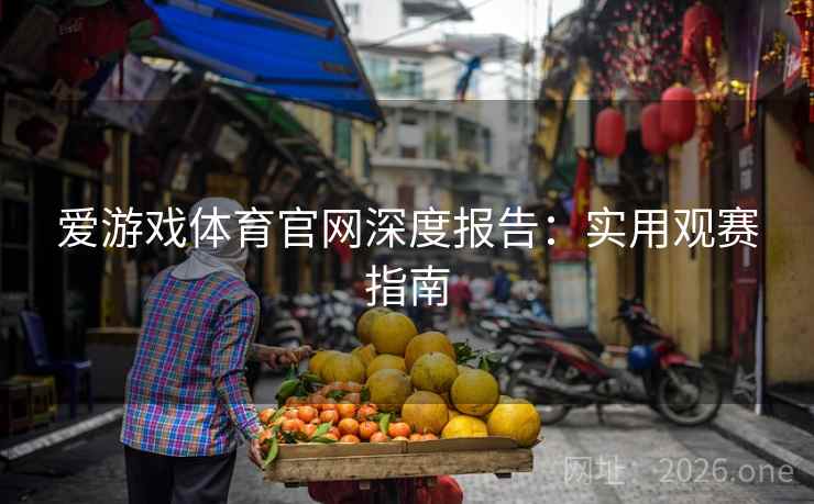 爱游戏体育官网深度报告：实用观赛指南