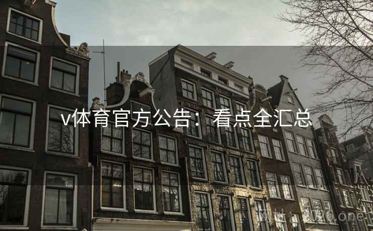 v体育官方公告：看点全汇总  第2张