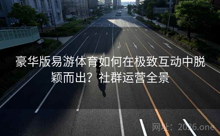 豪华版易游体育如何在极致互动中脱颖而出？社群运营全景  第2张