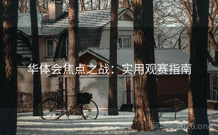 华体会焦点之战：实用观赛指南  第2张