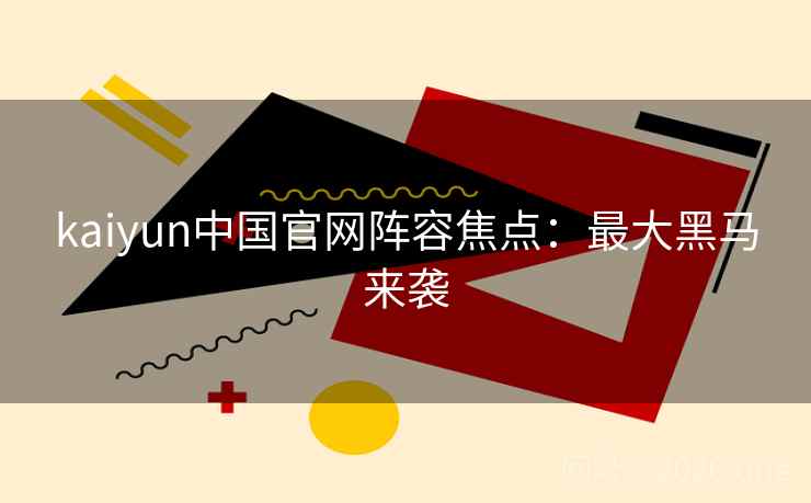 kaiyun中国官网阵容焦点：最大黑马来袭  第2张