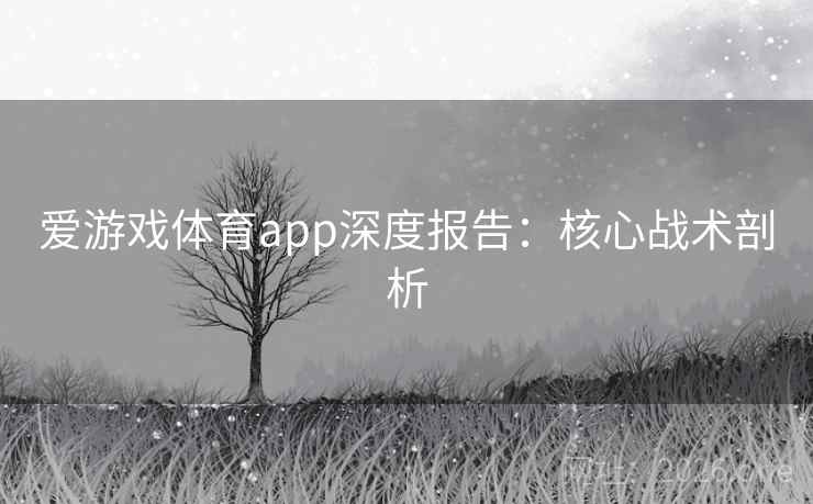 爱游戏体育app深度报告：核心战术剖析  第2张