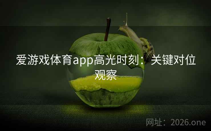 爱游戏体育app高光时刻：关键对位观察  第2张