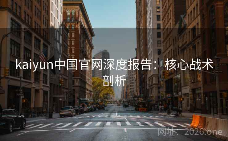 kaiyun中国官网深度报告：核心战术剖析