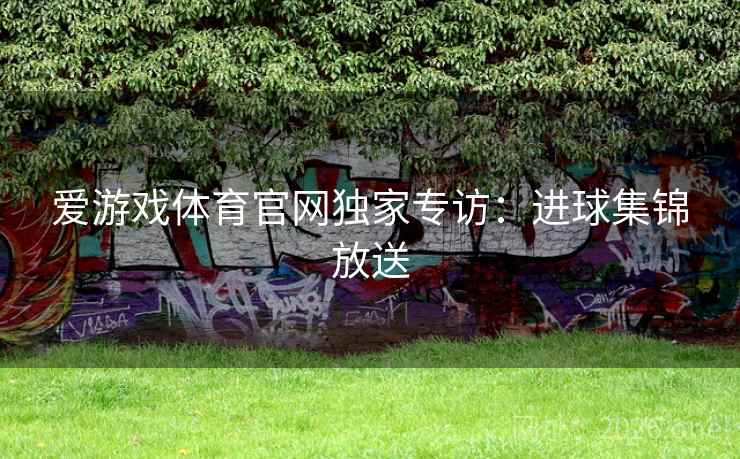 爱游戏体育官网独家专访：进球集锦放送