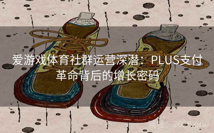 爱游戏体育社群运营深潜：PLUS支付革命背后的增长密码