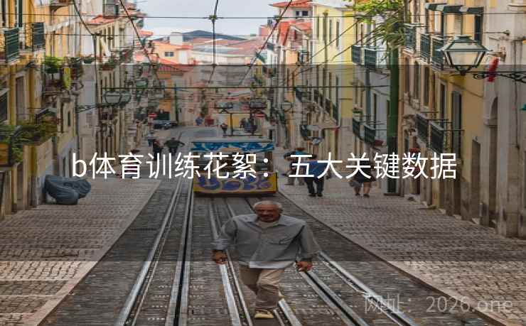 b体育训练花絮：五大关键数据