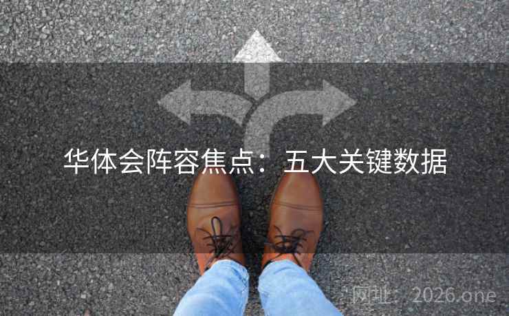 华体会阵容焦点：五大关键数据