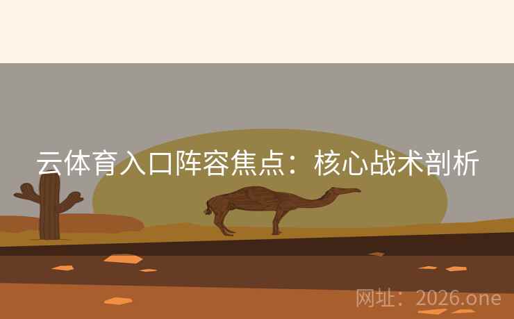 云体育入口阵容焦点：核心战术剖析