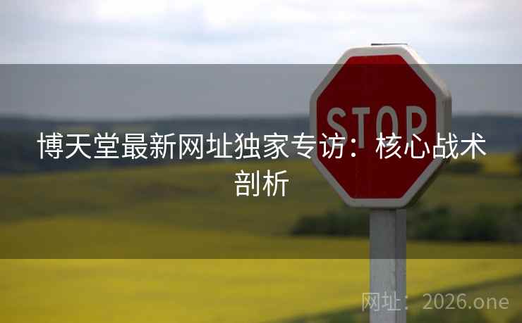 博天堂最新网址独家专访：核心战术剖析  第2张