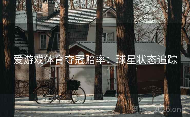 爱游戏体育夺冠赔率：球星状态追踪