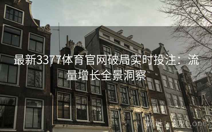 最新3377体育官网破局实时投注:流量增长全景洞察  第2张 最新3377体育官网破局实时投注:流量增长全景洞察  第2张