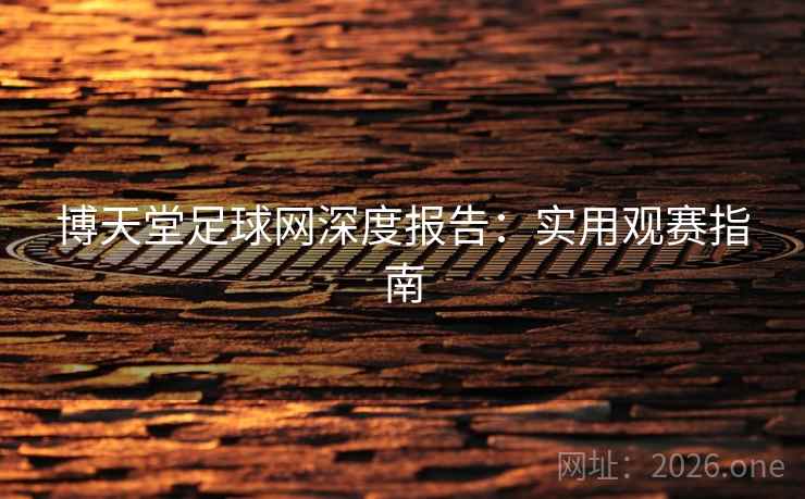 博天堂足球网深度报告：实用观赛指南  第2张